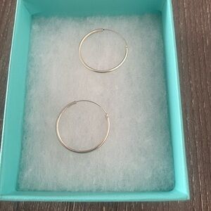Elegant Silver Hoop Earrings